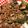 まおゆぅ's cooksnap of when they made なすとピーマンの甘辛納豆肉味噌炒め.
