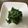 りえ✦'s cooksnap of when they made 風邪予防にも！ちぢみほうれん草ねぎ炒め.