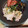 itigo315's cooksnap of when they made 揚げ茄子と豚しゃぶのポン酢和え★.