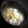 ひさかた's cooksnap of when they made 漢方医お勧め！豆腐と白キクラゲの煮込み.