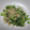 ジョングレ's cooksnap of when they made 簡単！ 大根葉のふりかけ.