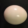 クックXCYSK0☆'s cooksnap of when they made ゆで卵がつるんとむける方法.