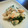 りんこ２００５'s cooksnap of when they made 白和え.