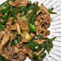 ☆yopipi's cooksnap of when they made 細切りピーマンと豚肉の炒め物.
