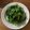 クック1FX93J☆'s cooksnap of when they made レンジＤＥ簡単☆かぶの葉煮びたし.