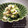 inyako's cooksnap of when they made ちくわと春菊の白和え.