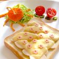 はらぺこしろうさぎ's cooksnap of when they made サラダの彩りに 取りあえずみかん.
