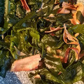 家族の美味しい☆'s cooksnap of when they made 生わかめのおかか炒め.