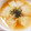 吉田ネコチャン's cooksnap of when they made レンジで簡単！丸ごと玉ねぎスープ　改訂版.