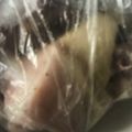 Yokchina's cooksnap of when they made 裏技鶏肉の臭みをとりジューシーにする方法.