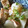 ねこはがき's cooksnap of when they made 丸大根と厚揚げ、豚肉の煮物.