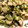 じじはな's cooksnap of when they made 作り置き！無限！青海苔蓮根！お弁当に！.