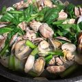 ★☆れいこ☆★'s cooksnap of when they made あさりと小松菜の酒蒸しソテー♪.