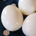 surumeio's cooksnap of when they made ゆで卵がつるんとむける方法.