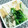 まぶたん's cooksnap of when they made 小松菜・もやしと厚揚げの煮物♪.