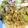 はに333's cooksnap of when they made 桜エビと白菜のクリームパスタ.