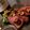まりんふらわぁ's cooksnap of when they made フライパンでちょー簡単ローストビーフ☻.