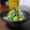 ダイナマイト漆黒's cooksnap of when they made そら豆とアボカドのハーブ炒め.
