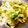 earth。's cooksnap of when they made レタスとたたきキュウリの塩昆布サラダ.