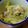 mami5san's cooksnap of when they made レンチン☆白菜ツナ.