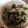 ネコのみさき's cooksnap of when they made 春わかめと豆苗・もやしの簡単和え物.