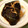 ●こうめ●'s cooksnap of when they made 生姜が香る カレイの煮付け.