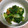 なつきよう's cooksnap of when they made ちんげん菜花の辛子和え.
