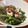 低カロ探検隊's cooksnap of when they made 簡単のせるだけのイワシ缶インゲン.