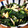 低カロ探検隊's cooksnap of when they made 【話題入り】簡単☆卵とほうれん草の煮浸し.
