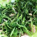 キュキュットさん's cooksnap of when they made レンジで超簡単＊豆苗のツナ和え.