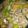 momoazeru's cooksnap of when they made たけのこ白菜の中華丼.