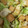 クックVDIUNF☆'s cooksnap of when they made 簡単！厚揚げとキャベツのゆず胡椒炒め.