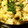 ちゃちゃcook's cooksnap of when they made あさりとしめじの味噌炊き込み御飯　簡単.