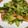 クックP52PBR☆'s cooksnap of when they made 油揚げと春キャベツの炒め物.