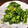 卵せんべい's cooksnap of when they made 菜の花の和風ワサビマヨドレ和え☆あっさり.