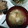 ともきゃんママ's cooksnap of when they made 簡単☆きのことアサリの味噌汁.