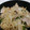 ずぼら母４６歳's cooksnap of when they made 切干大根と豚こまの炒め物.