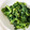 ｺｱﾗ's cooksnap of when they made 菜の花のマヨカレー和え.