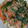 tolatte's cooksnap of when they made もやしとほうれん草のごまマヨポン和え.