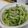まぁ907's cooksnap of when they made 和えるだけ！きゅうりとじゃこのごま油和え.