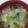 ずぼら母４６歳's cooksnap of when they made 白菜とぶなしめじの味噌汁★.