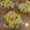 i_yokan's cooksnap of when they made かぼちゃサラダ.