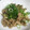 ｅｌｅｓｔａｌ's cooksnap of when they made 簡単！豚肉と舞茸のマヨぽん炒め.