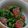 こまめも's cooksnap of when they made まぐろ赤身と菜の花ゴマ和え.