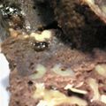 jelly_typ's cooksnap of when they made でかっ！ざくざくナッツのブラウニー.