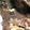 jelly_typ's cooksnap of when they made でかっ！ざくざくナッツのブラウニー.