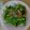 みかんのmama☆'s cooksnap of when they made 菜の花のおひたし.
