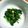 もけらんじぇろ's cooksnap of when they made ほうれん草も辛子和えがいいの♪.