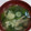 ずぼら母４６歳's cooksnap of when they made こまつなとうす揚げの味噌汁.