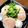 ゆっきぃおばぁ's cooksnap of when they made 80℃ 栄養たっぷり 簡単 あん肝ポン酢.